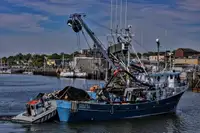 Ọkọ̀ tí ó mú ẹja fún tà