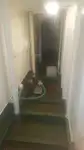 Ọkọ̀ tí ó mú ọkọ̀ rọ̀ fún tà