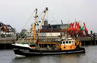 Trawler fun tita