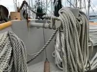 Ọkọ̀ tí ó mú ẹja fún tà