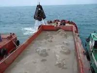 Ọkọ̀ fún tà