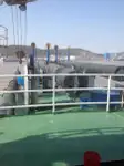 Ọkọ̀ ojú omi tí ó mú ìdọ̀tí fún tà