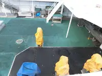 Ọkọ̀ tí ó mú ẹja fún tà