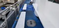 Catamaran fún tà