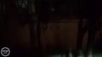 Ọkọ̀ tí ó mú ẹja fún tà