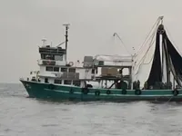 Ọkọ̀ tí ó mú ẹja fún tà
