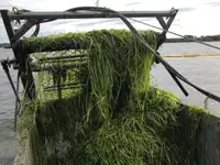 Ọkọ̀ tí ó mú omi tí ó wà ní ìsàlẹ̀ ọkọ̀ fún tà