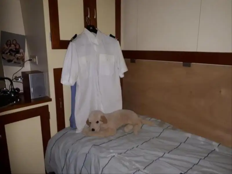 Ọkọ̀ ìjàkú fún tà