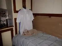 Ọkọ̀ ìjàkú fún tà