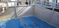 Catamaran fún tà