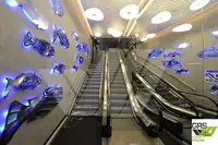 Ọkọ̀ tí ó mú ọkọ̀ rọ̀ fún tà
