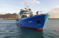Reefer ọkọ fun tita