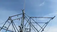 Ọkọ̀ tí ó mú ẹja fún tà