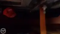 Ọkọ̀ tí ó mú ẹja fún tà