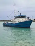 Ọkọ̀ tí ó mú ẹja fún tà