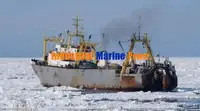 Ọkọ̀ tí wọn fi maa ń gbé ohun èlò tí ó ní ìdáná fún tà