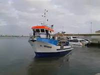 Ọkọ omi ti o fa fún tà