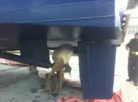 Ọkọ oju-omi àwọn ọlọ́kọkọ fún tà
