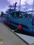 Ọkọ̀ tí ó mú ẹja fún tà