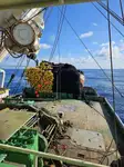 Purse seiner fun tita