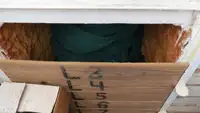 Ọkọ̀ tí ó mú ẹja fún tà
