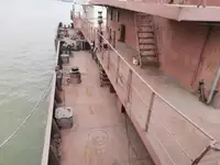 Olopobobo ti ngbe fun tita