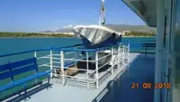 Ro-Ro ship fun tita