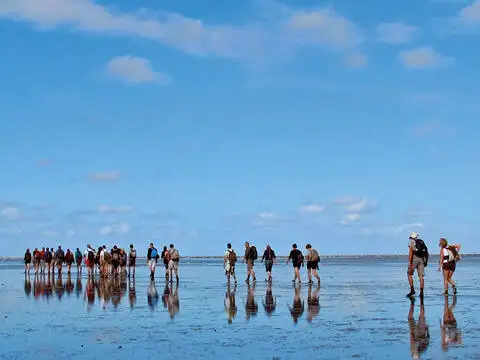 Ọkọ̀ fún tà