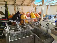 Ọkọ̀ tí ó mú ẹja pọ̀ fún tà
