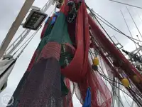 Ọkọ̀ tí ó mú ẹja fún tà