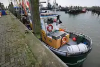 Ọkọ̀ tí ó mú ẹja fún tà