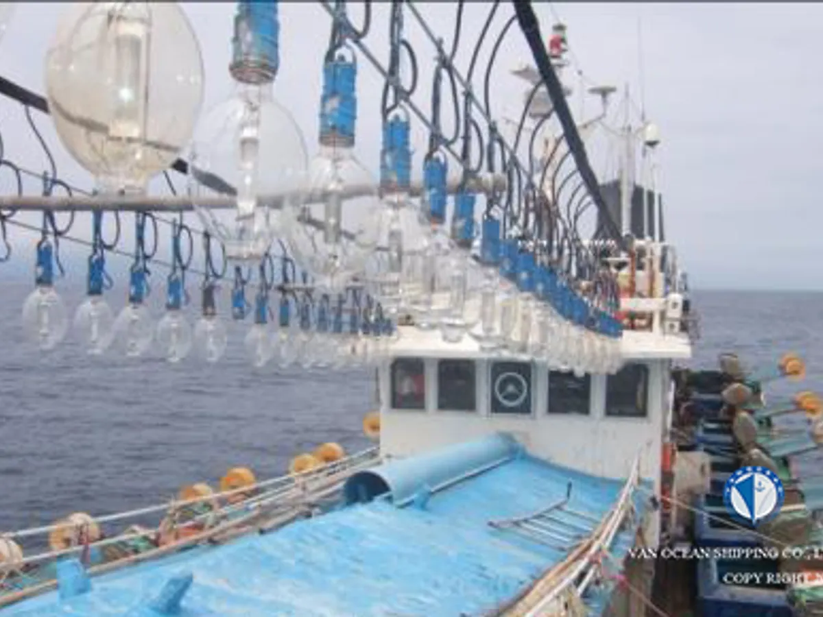 Ọkọ̀ tí ó mú ẹja squid fún tà