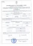 Ọkọ̀ tí ó mú ọkọ̀ rọ̀ fún tà