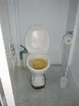 Ọkọ̀ tí ó mú ẹja pọ̀ fún tà