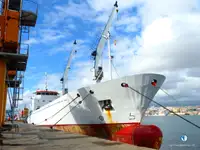 Reefer ọkọ fun tita