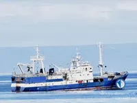 Ọkọ̀ tí ó mú ẹja fún tà