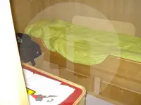 Ọkọ̀ tí ó mú ẹja fún tà