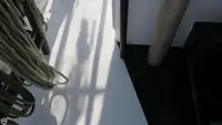 Ọkọ̀ tí ó mú ẹja fún tà