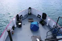 General Cargo/Multi-purpose fún tà
