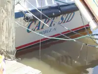 Ọkọ̀ tí ó mú ẹja fún tà