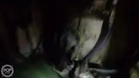 Ọkọ̀ tí ó mú ẹja fún tà