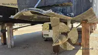 Catamaran fún tà