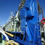 Purse seiner fun tita