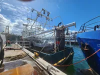 Ọkọ̀ tí ó mú ẹja fún tà