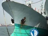 Ọkọ̀ tí ó mú ẹja pọ̀ fún tà