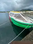 Ọkọ̀ Fẹrrí fún tà