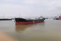Olopobobo ti ngbe fun tita