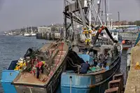 Ọkọ̀ tí ó mú ẹja fún tà