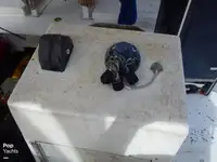 Ọkọ̀ tí ó mú ẹja fún tà