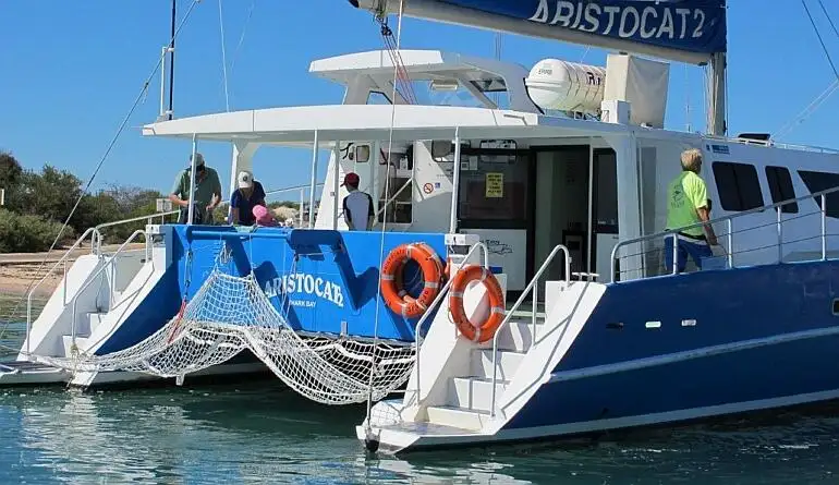 Catamaran fún tà